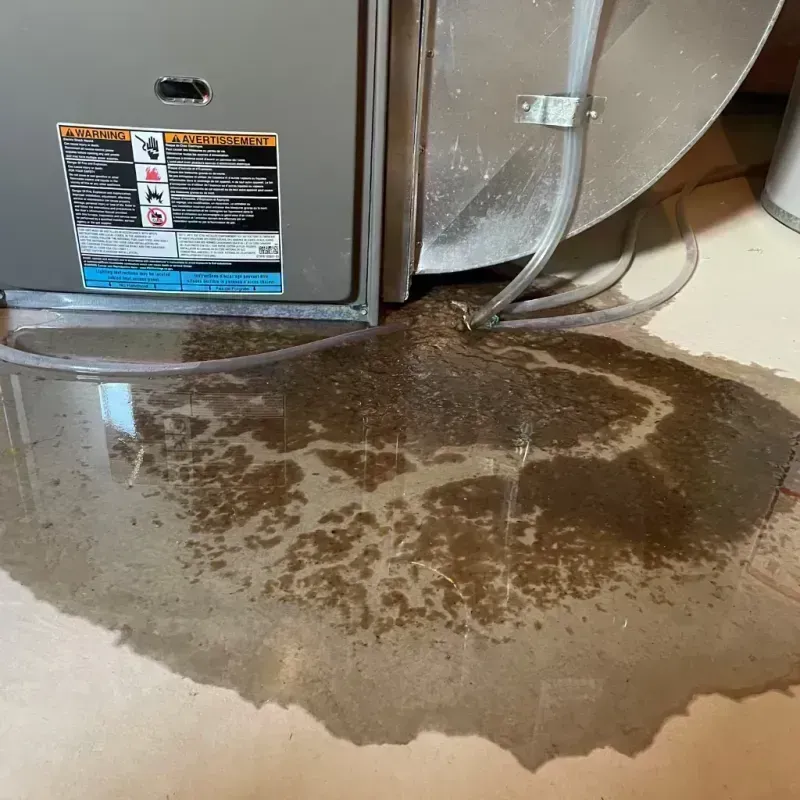 Appliance Leak Cleanup in Arvada, CO